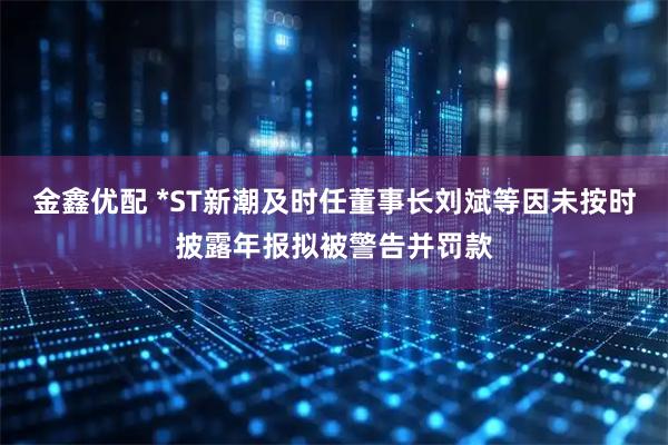 金鑫优配 *ST新潮及时任董事长刘斌等因未按时披露年报拟被警告并罚款
