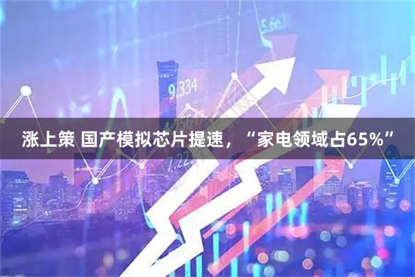涨上策 国产模拟芯片提速，“家电领域占65%”