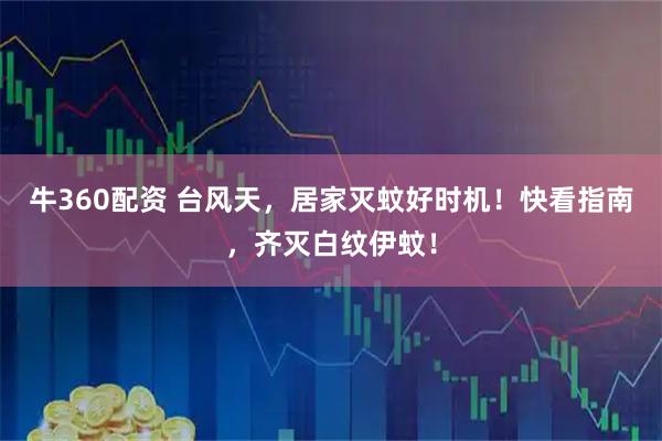 牛360配资 台风天，居家灭蚊好时机！快看指南，齐灭白纹伊蚊！