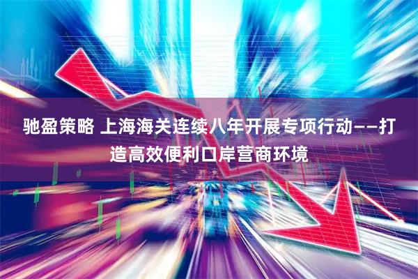 驰盈策略 上海海关连续八年开展专项行动——打造高效便利口岸营商环境
