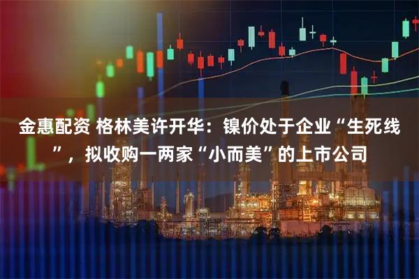 金惠配资 格林美许开华：镍价处于企业“生死线”，拟收购一两家“小而美”的上市公司