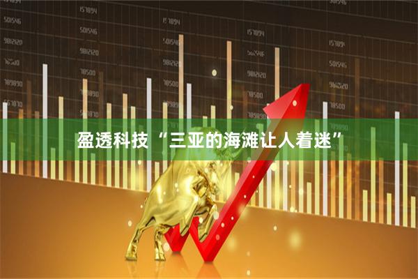 盈透科技 “三亚的海滩让人着迷”