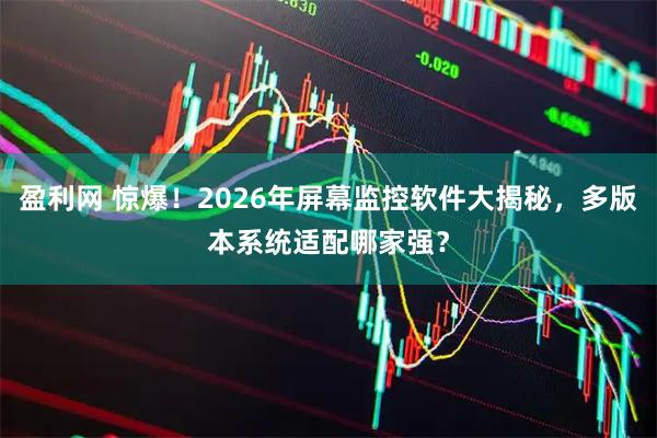 盈利网 惊爆！2026年屏幕监控软件大揭秘，多版本系统适配哪家强？